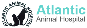 Atlantic Animal Hospital